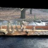 photo 2021-12-04 09-45-45