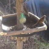 photo 2019-02-12 11-33-36