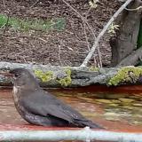 photo 2021-04-19 17-19-58 rigo