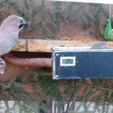 photo 2021-03-03 07-04-01