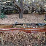 photo 2021-10-26 07-59-11