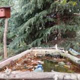 photo 2023-10-09 12-16-55