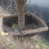 photo 2019-03-15 16-55-40