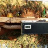 photo 2021-02-12 15-29-57