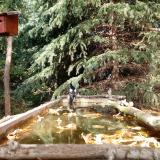 photo 2023-10-17 13-33-22