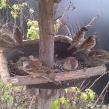 photo 2019-12-16 08-48-55