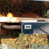 photo 2021-02-11 15-35-00