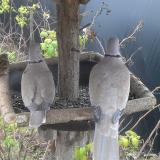 photo 2019-12-16 08-07-26