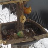 photo 2019-01-27 13-18-20