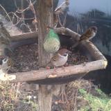 photo 2019-02-11 09-06-35