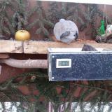 photo 2021-02-14 07-01-22