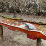 photo 2021-03-31 09-39-45