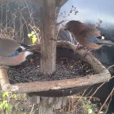 photo 2019-12-25 08-59-41