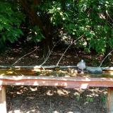 photo 2021-09-12 12-21-16