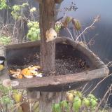 photo 2019-12-07 14-06-22