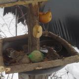 photo 2019-01-27 13-18-04