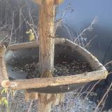 photo 2019-12-30 13-20-21