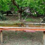 photo 2021-05-06 16-14-03