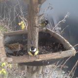 photo 2019-12-28 13-28-45