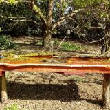 photo 2021-04-12 09-53-52