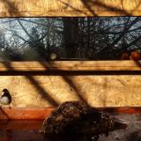 photo 2022-01-24 09-21-39