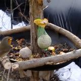 photo 2019-01-17 09-06-26