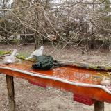 photo 2021-03-22 12-02-41