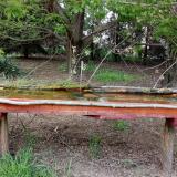 photo 2021-04-27 18-09-42