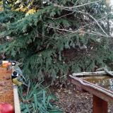 photo 2021-11-12 15-12-31