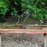 photo 2021-05-15 13-58-13