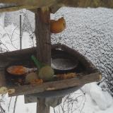 photo 2019-01-25 08-42-41