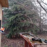 photo 2021-12-16 08-29-33