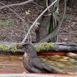 photo 2021-04-19 17-20-25 rigo