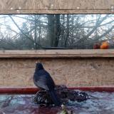 photo 2022-01-23 16-21-04