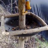 photo 2019-02-08 13-10-11