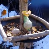 photo 2019-01-14 10-24-05