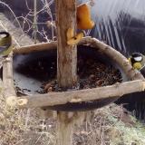 photo 2019-02-08 09-37-57