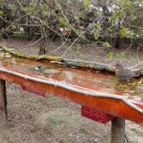 photo 2021-04-06 15-30-08