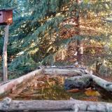 photo 2023-10-16 07-36-25