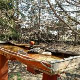 photo 2022-03-28 11-27-39