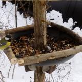 photo 2019-01-06 13-59-47