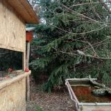 photo 2022-01-06 09-29-05