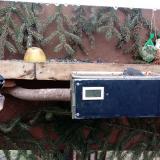 photo 2021-02-08 09-01-50