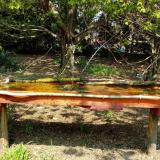 photo 2021-04-21 12-49-07