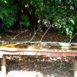 photo 2021-09-16 12-53-02