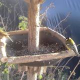 photo 2019-12-20 14-00-53