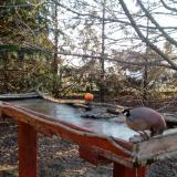 photo 2022-03-13 07-08-19