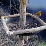 photo 2019-01-03 14-45-47