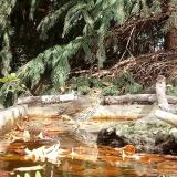 photo 2023-10-20 11-29-37 enekesr