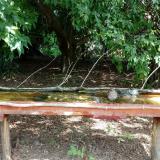 photo 2021-08-04 11-01-02